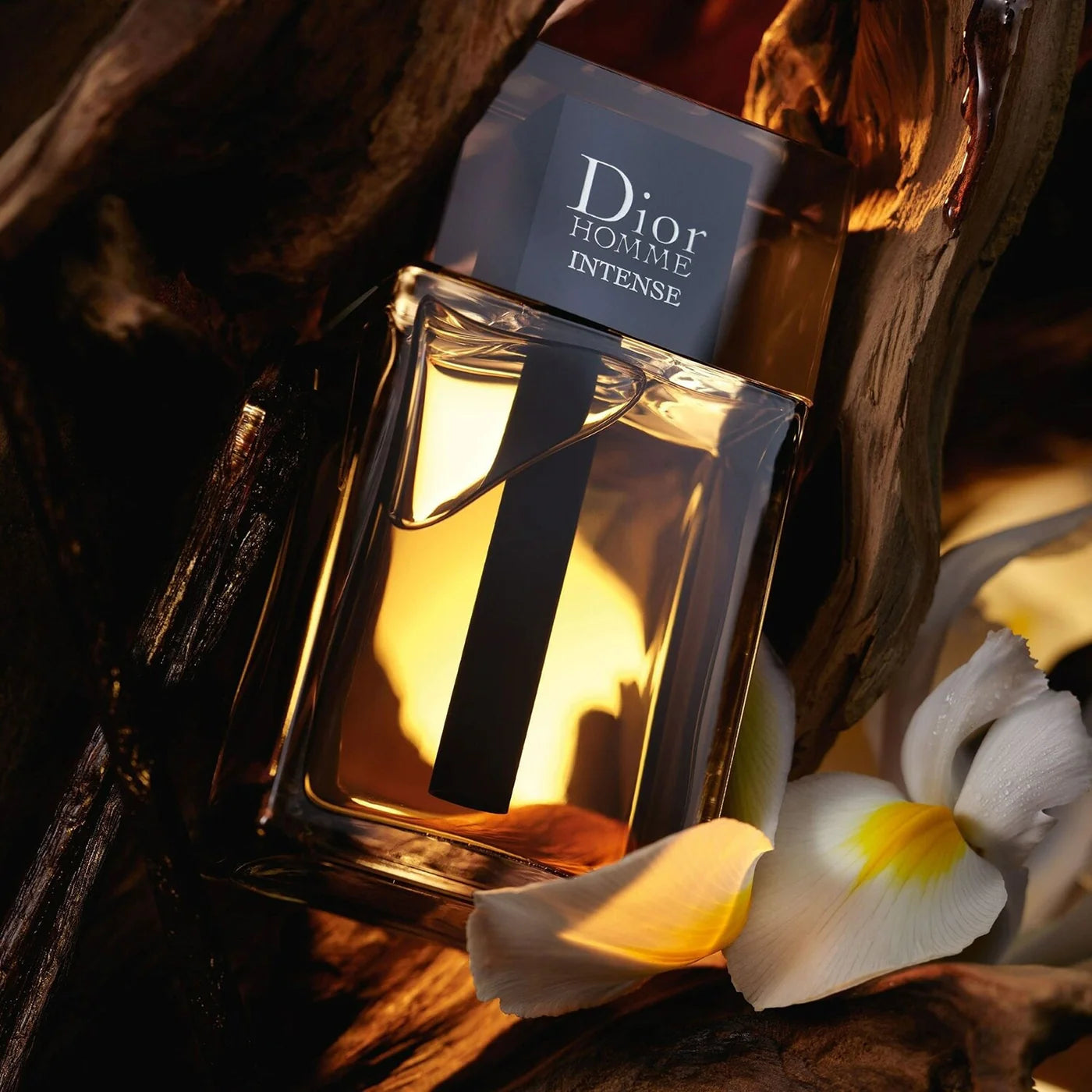 Dior Homme Intense perfume bottle with flowers on a dark background
