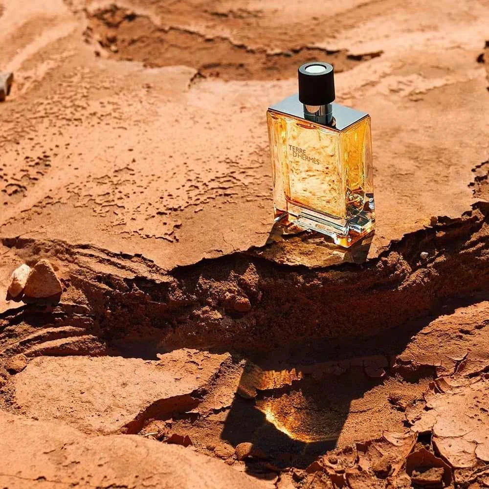 Terre d'Hermès EDT 100 ml
