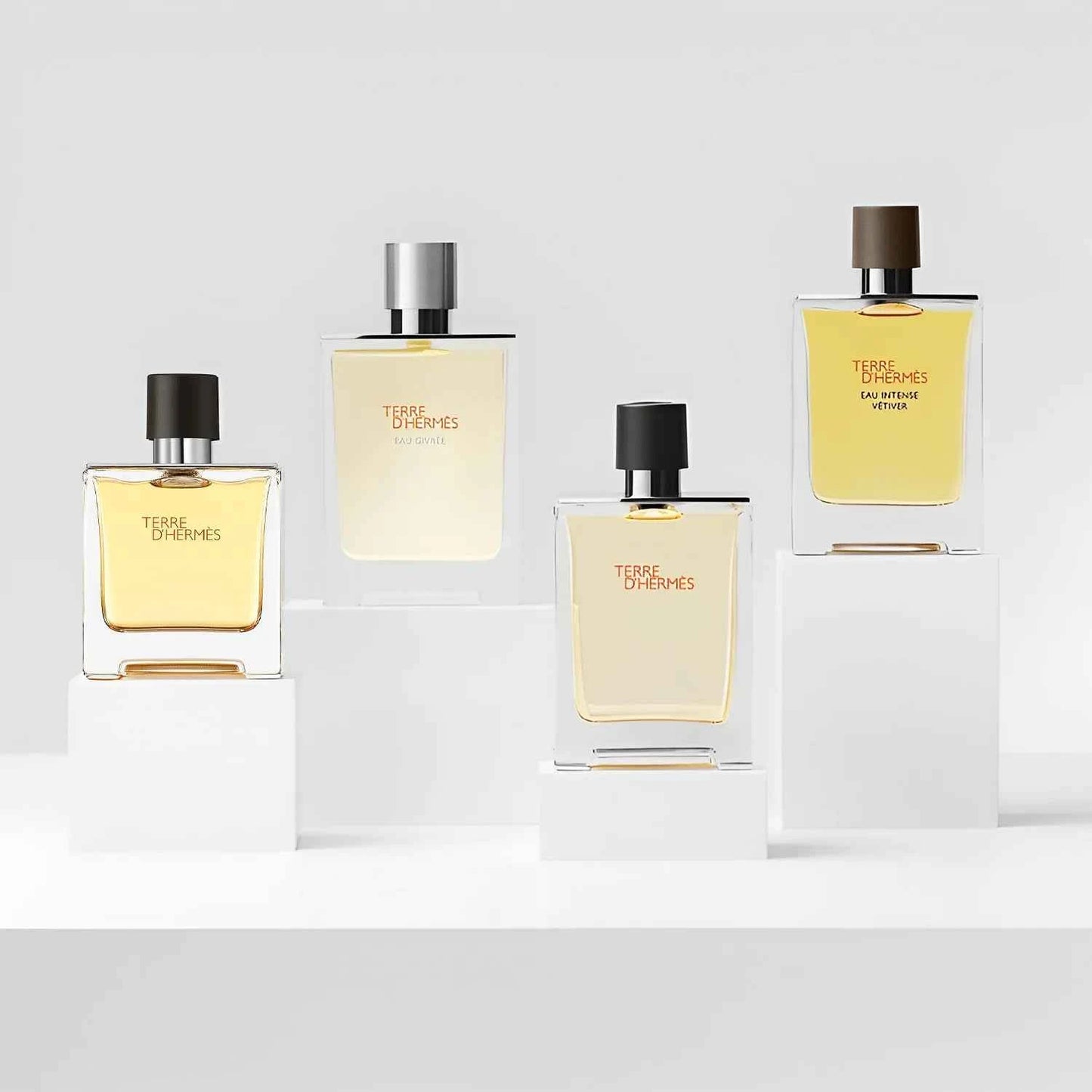 Terre d'Hermès EDT 100 ml