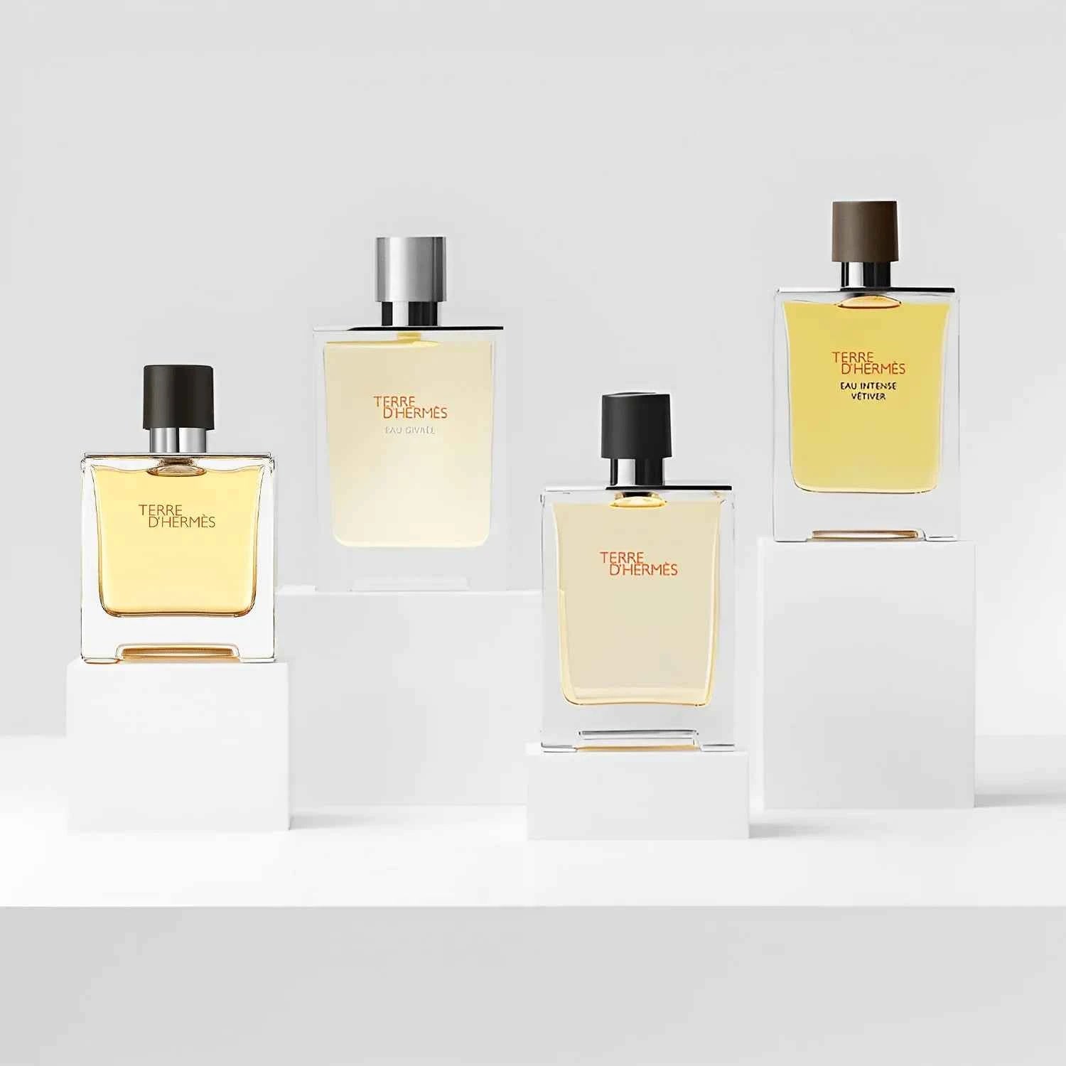 Terre d'Hermès EDT 100 ml