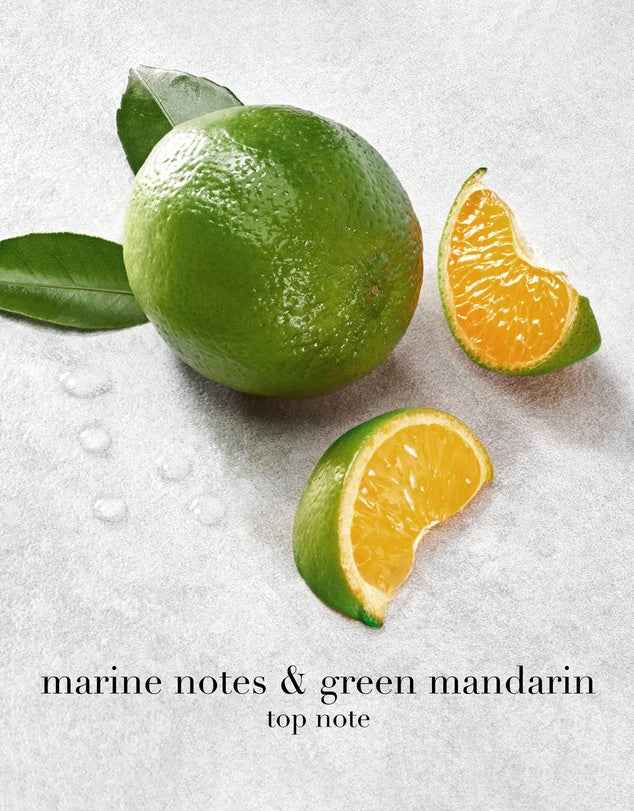 Acqua di Giò Profumo EDP 100ml