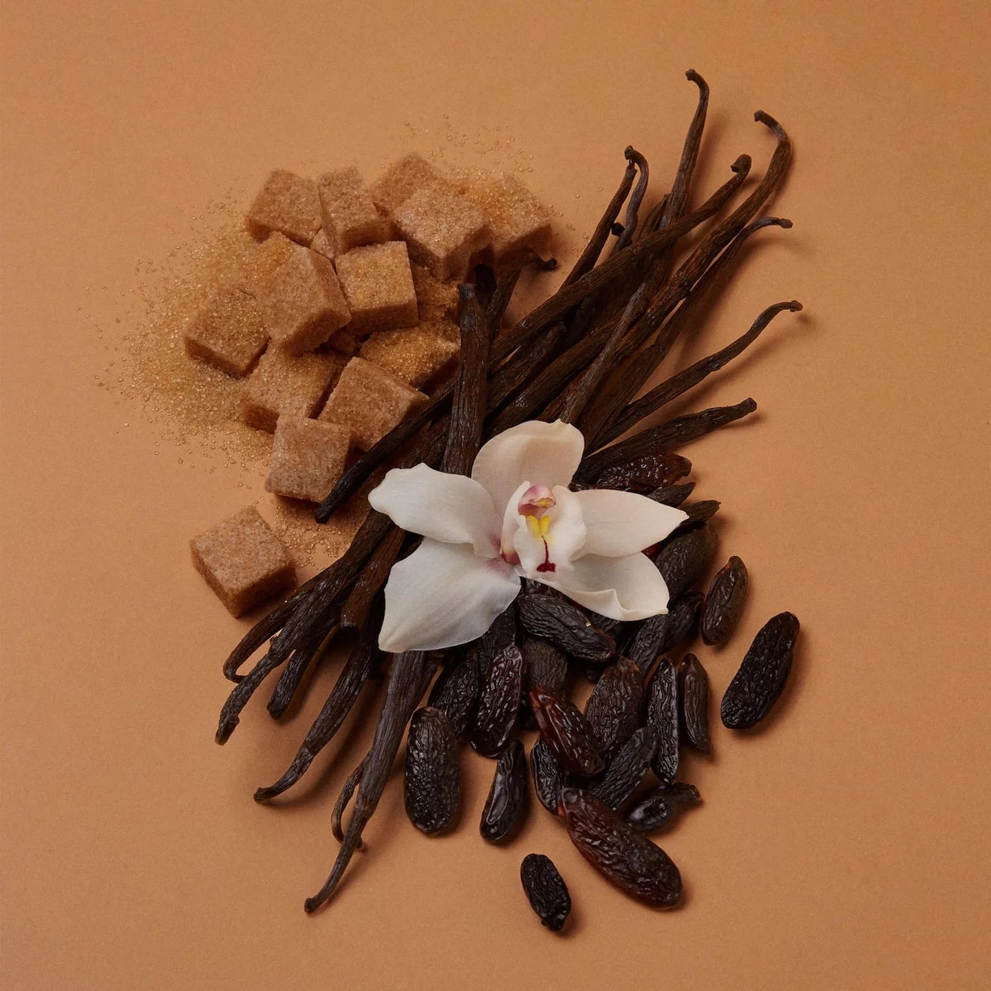 Vanilla beans, a white flower, and brown sugar cubes on a brown background
