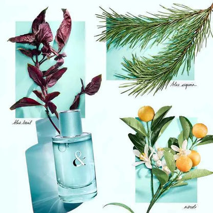 Tiffany & Co. Love for Her EDP 90ml