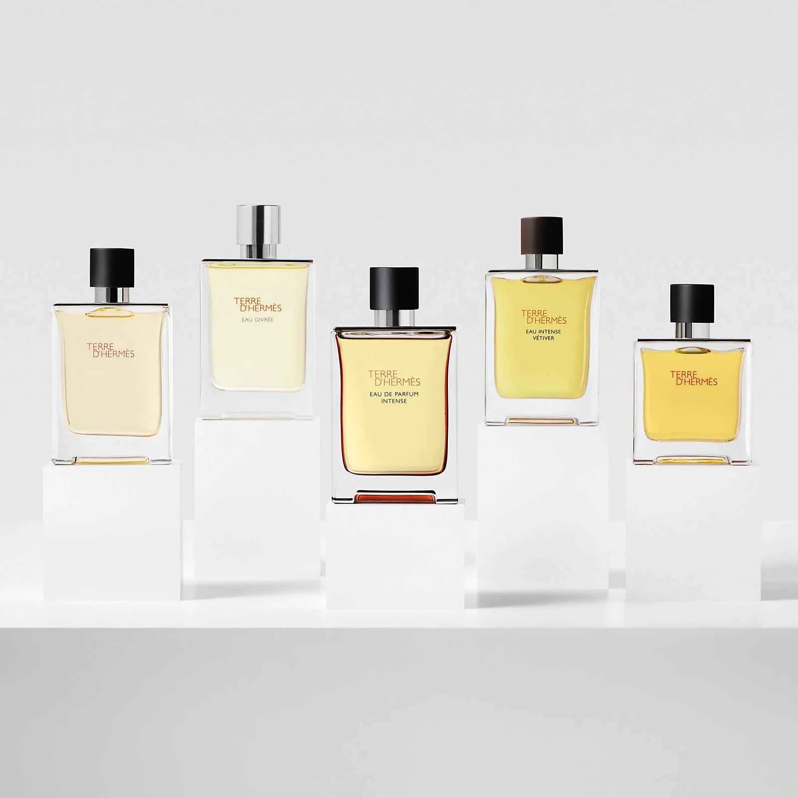 Terre d’Hermès Eau De Toilette 100ml