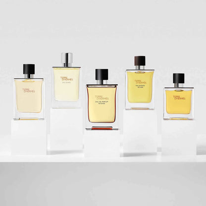Terre d’Hermès Eau De Toilette 100ml