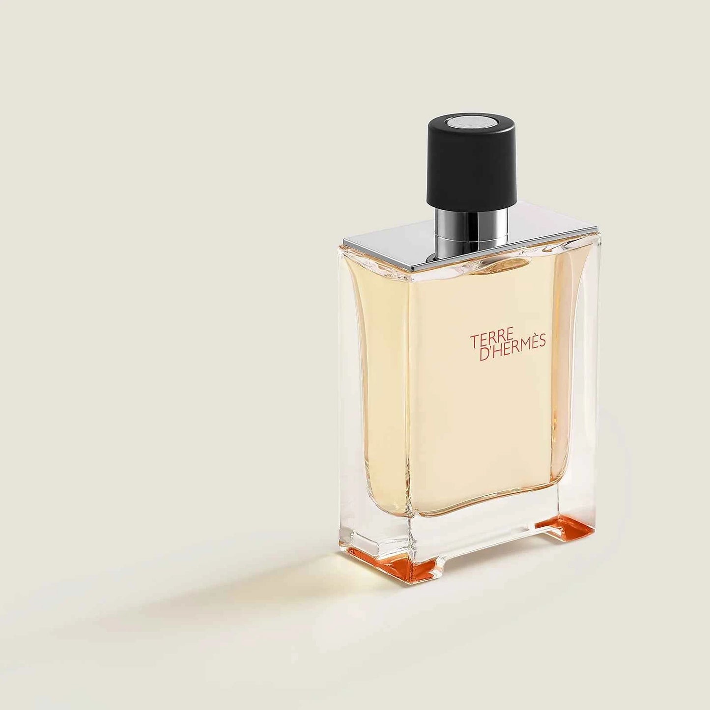 Terre d’Hermès Eau De Toilette 100ml