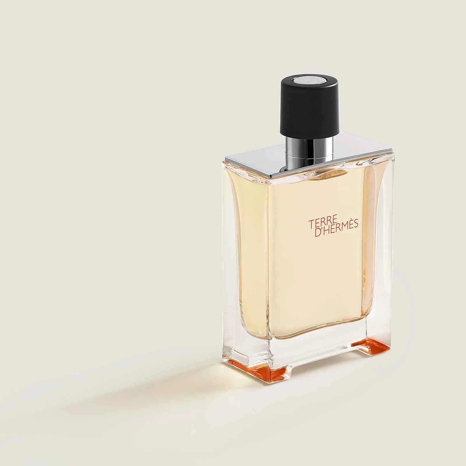 Terre d’Hermès Eau De Toilette 100ml