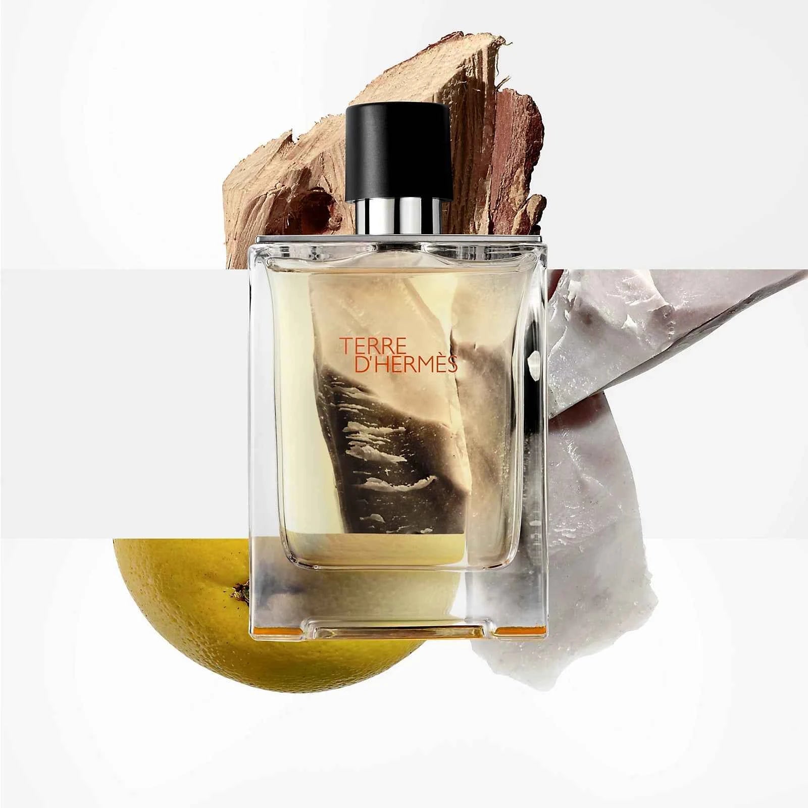 Terre d’Hermès Eau De Toilette 100ml