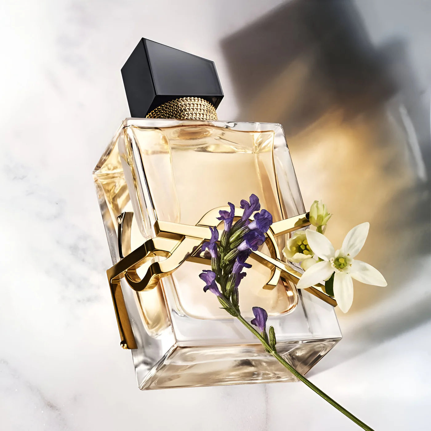 ysl a designer perfume Australia